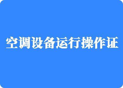 被外国人大家伙搞舒服制冷工证