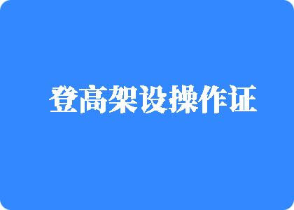 操逼狂操嫩逼高清无码登高架设操作证